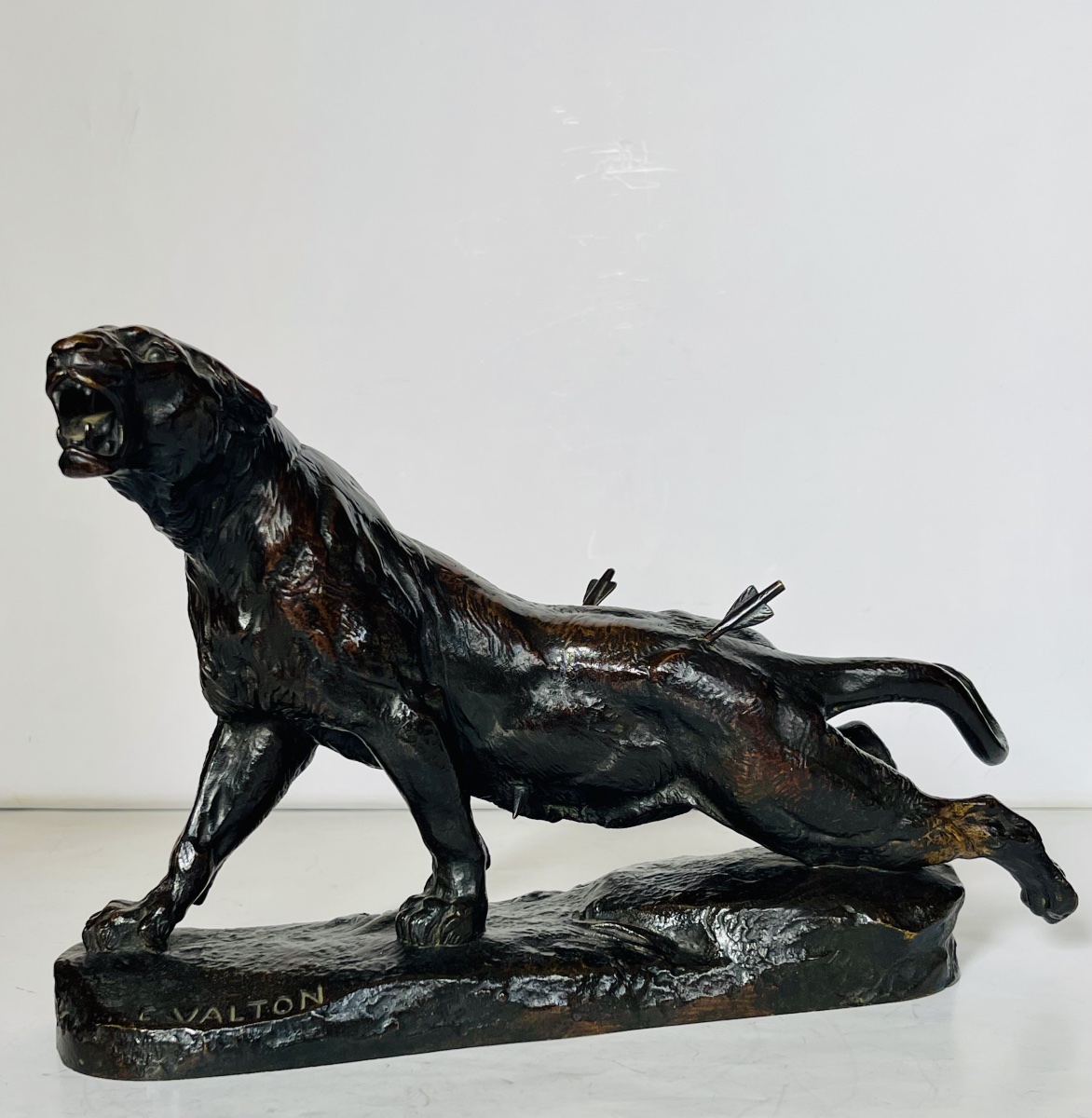 Lionne blessée - Charles VALTON